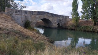 Canal de Castilla. 3 etapa Alar del Rey-Becerril de Campos
